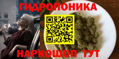 ешки Пугачёв