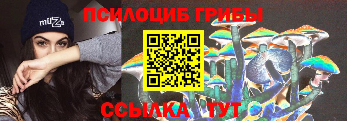 Псилоцибиновые грибы Cubensis Советский