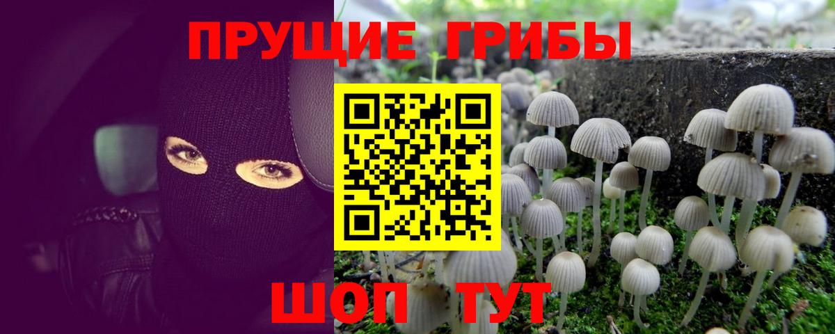 Псилоцибиновые грибы мухоморы  Вход с VPN  Советский 